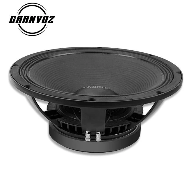 Professional 15TBX100 15 Inch Woofer Speaker